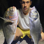 Cómo poner cangrejos para pescar doradas: Trucos y técnicas efectivas cangrejo-pesca-dorada