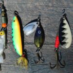 como-elegir-los-mejores-senuelos-de-pesca-para-lubina