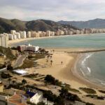 como-pescar-doradas-desde-la-playa-guia-para-principiantes