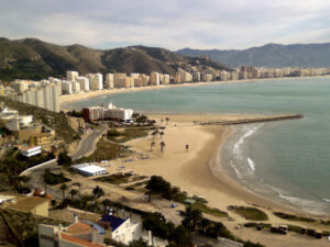 Cómo pescar doradas desde la playa: Guía para principiantes