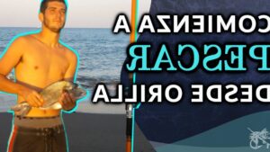 Cómo pescar lubinas en la ría: Consejos y técnicas clave