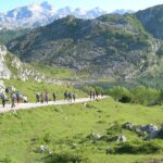donde-pescar-doradas-en-asturias-zonas-mas-productivas