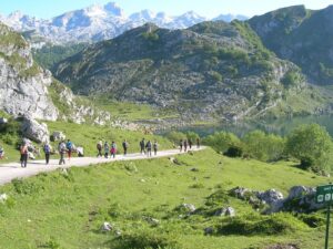 ¿Dónde pescar doradas en Asturias? Zonas más productivas