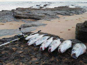Dónde pescar lubinas en Vigo: Mejores spots para la pesca