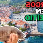 ¿Dónde pescar sargos en Cantabria? donde-pescar-sargos-en-cantabria