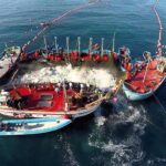 La pesca del atún en el Cantábrico: ¿Dónde, Cuándo y Cómo? la-pesca-del-atun-en-el-cantabrico-donde-cuando-y-como