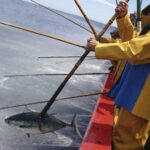La pesca del atún en Galicia: ¿Dónde y Cuándo? la-pesca-del-atun-en-galicia-donde-y-cuando