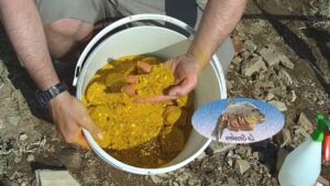 Cómo hacer masilla para pescar carpas: Pasos y mejores ingredientes