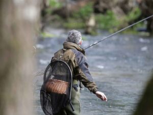 Mejores lugares para la pesca de carpas en España: Zonas recomendadas