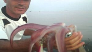 Pesca de calamar desde costa: Técnicas y consejos esenciales