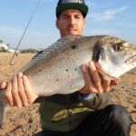 pesca-dorada