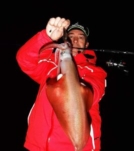 Temporada de pesca de calamar en el Mediterráneo: Cuándo es el mejor momento