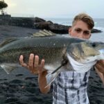 todo-sobre-la-pesca-de-lubinas-a-spinning