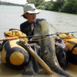 Todo sobre la pesca del Siluro en Mequinenza todo-sobre-la-pesca-del-siluro-en-mequinenza