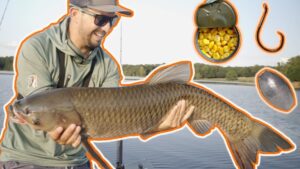 Trucos para pescar carpas en pantanos: Técnicas efectivas