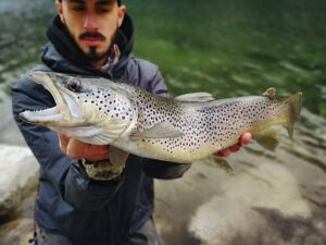 Trucos y técnicas para la pesca de trucha con cucharilla